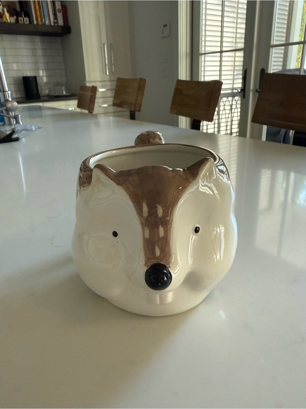 Pier 1 Squirrel Mug